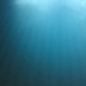 Meet your Posher, Abdullahi